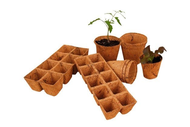 eco-green-0306_large.jpg