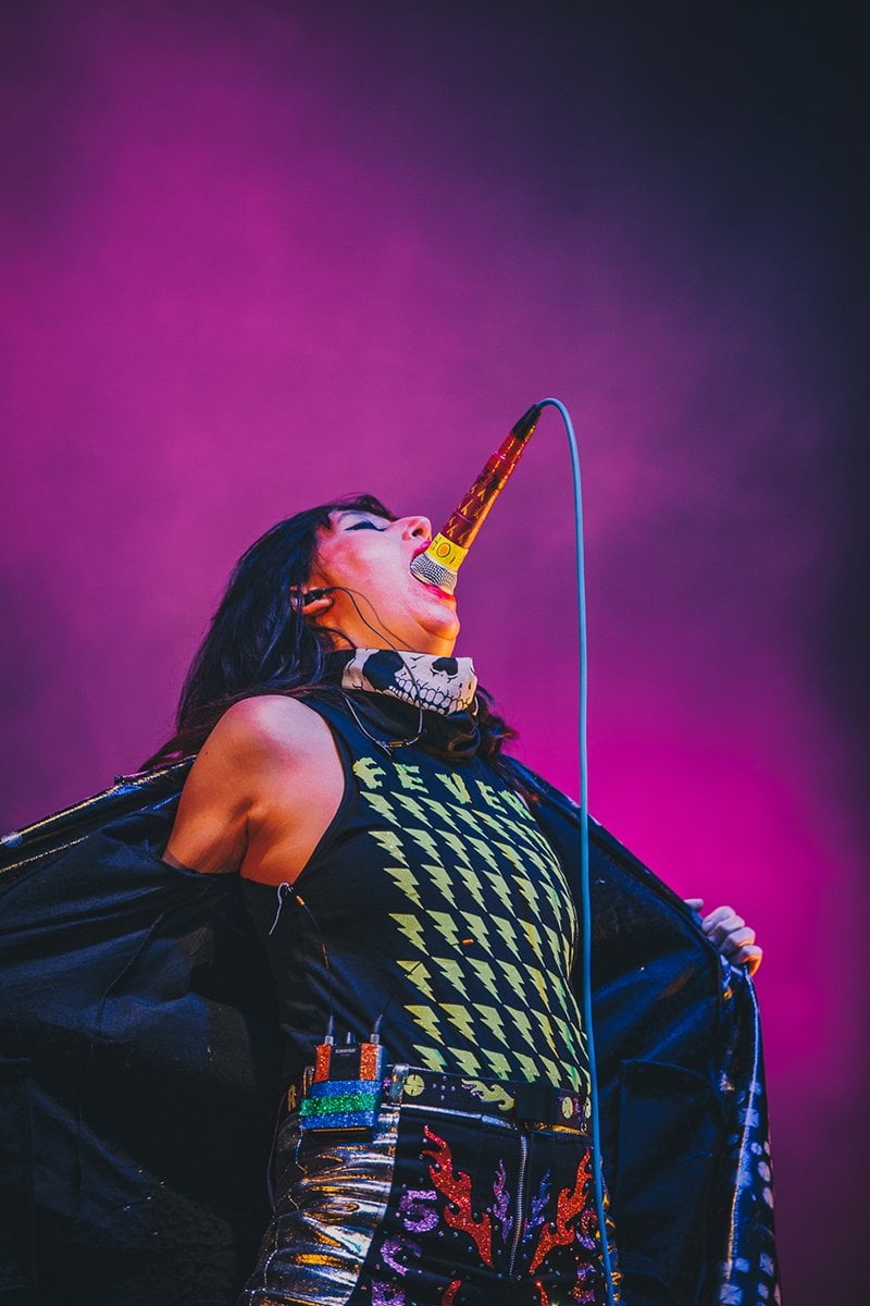 Yeah Yeah Yeahs by Ryan Bolton - WEB.jpg