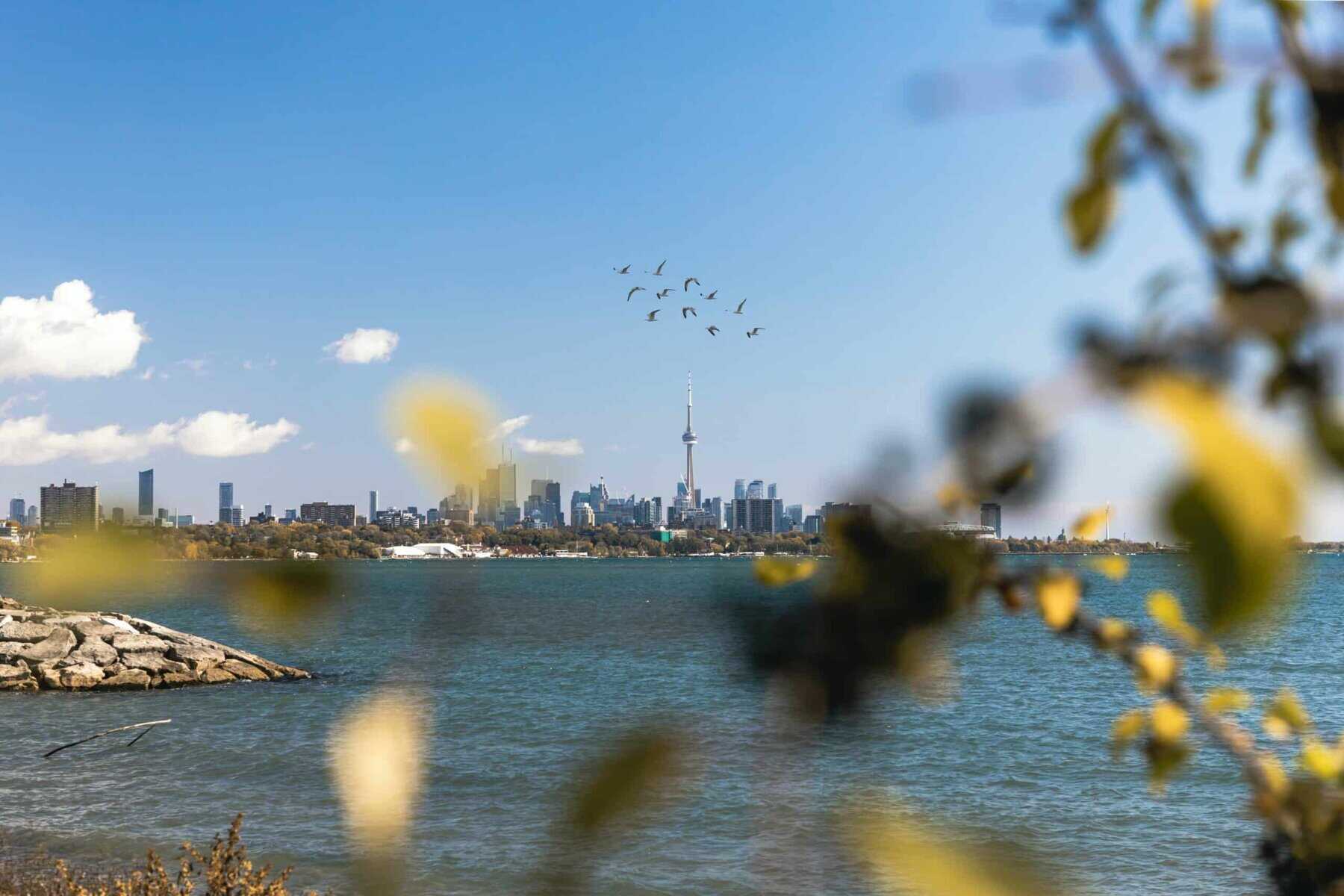 Toronto skyline viewed from Lake Ontario with CityTV Tower, focusing on Toronto travel, cityscape, waterfront, and urban scenery in Ontario.