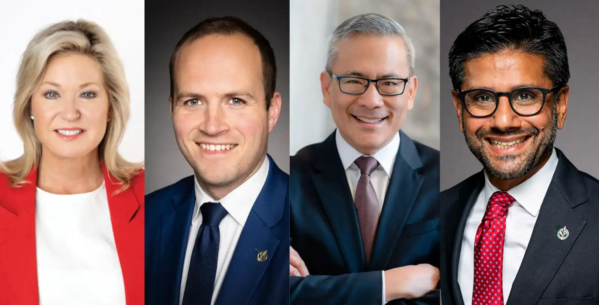 Professional diverse group of business people smiling at the camera, team portrait, corporate executives, or leaders, in formal suits for business and leadership themes.
