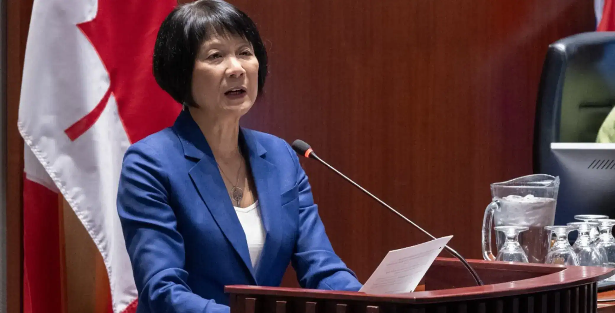 Canadian politician speaking at a formal event with Canadian flag in background.