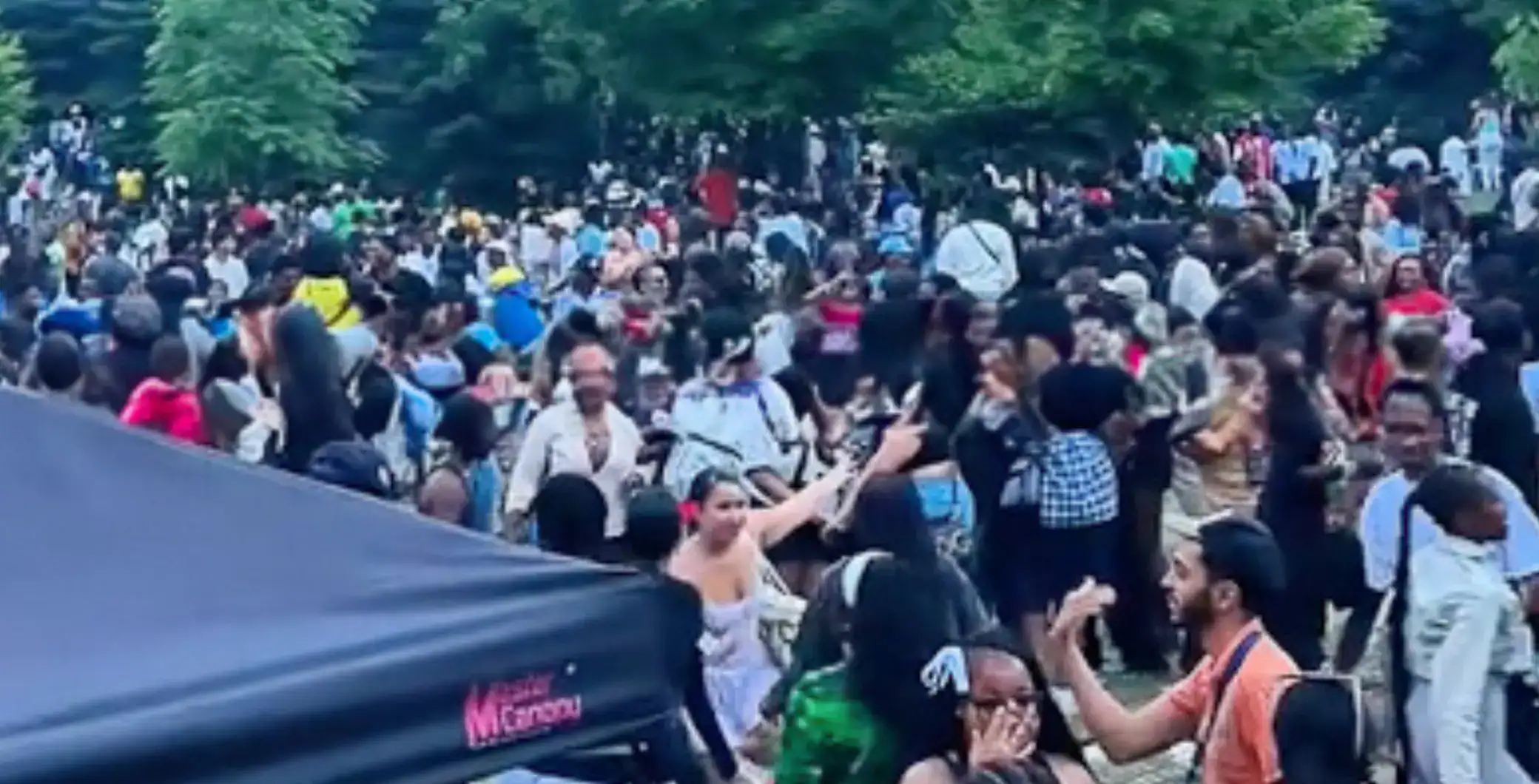 Crowd of diverse people gathering at a Toronto outdoor event surrounded by trees, showcasing community engagement and city life in Toronto, Canada.