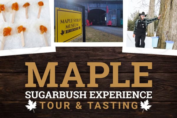 Fresh maple syrup samples on wooden sticks at Maple Sugarbush Experience in Ontario during a seasonal tour and tasting event.