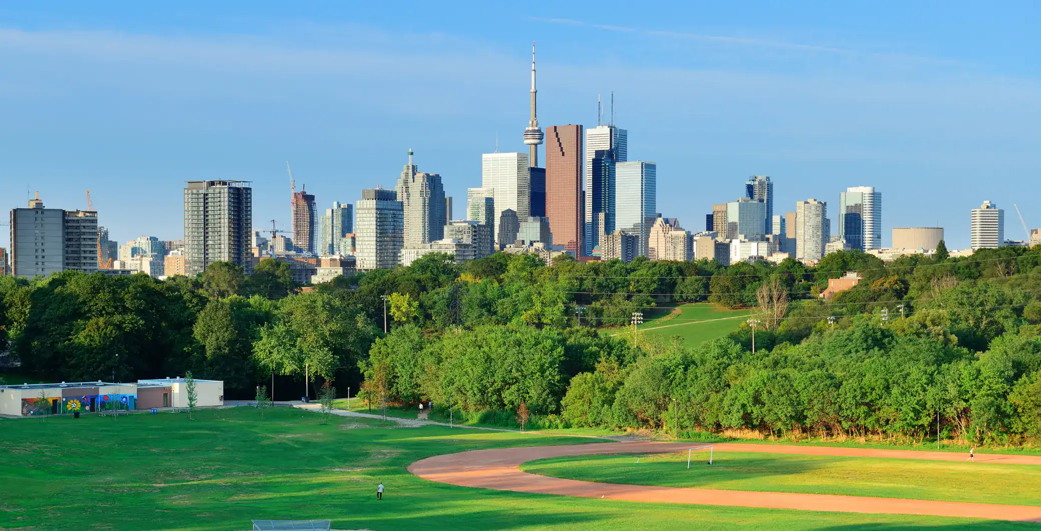 A panoramic view of Toronto's downtown skyline featuring tall skyscrapers and the CN Tower, with a vibrant green park in the foreground, showcasing the city's blend of urban and natural environments.