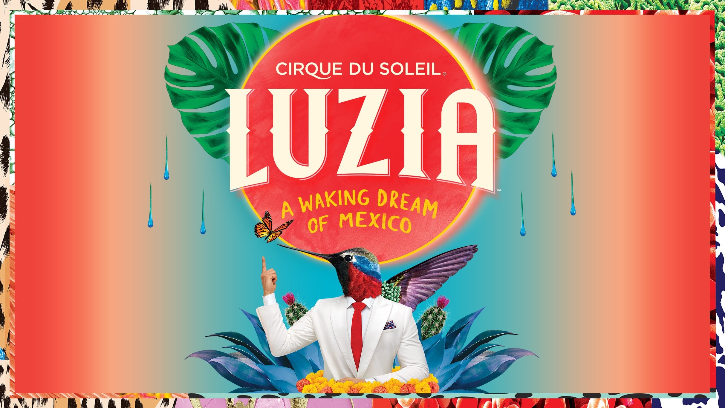 Vibrant promotional poster for Luzia, Cirque du Soleil's show in Toronto, featuring a colorful design with a hummingbird and tropical elements, highlighting a Mexican-inspired circus performance.