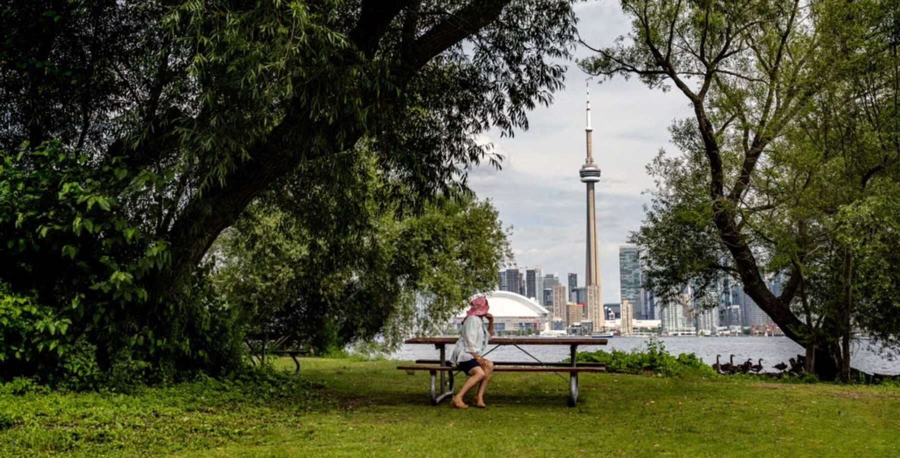 Summer day in Toronto (Courtesy SHAHBAZ ZAMANPexels)
