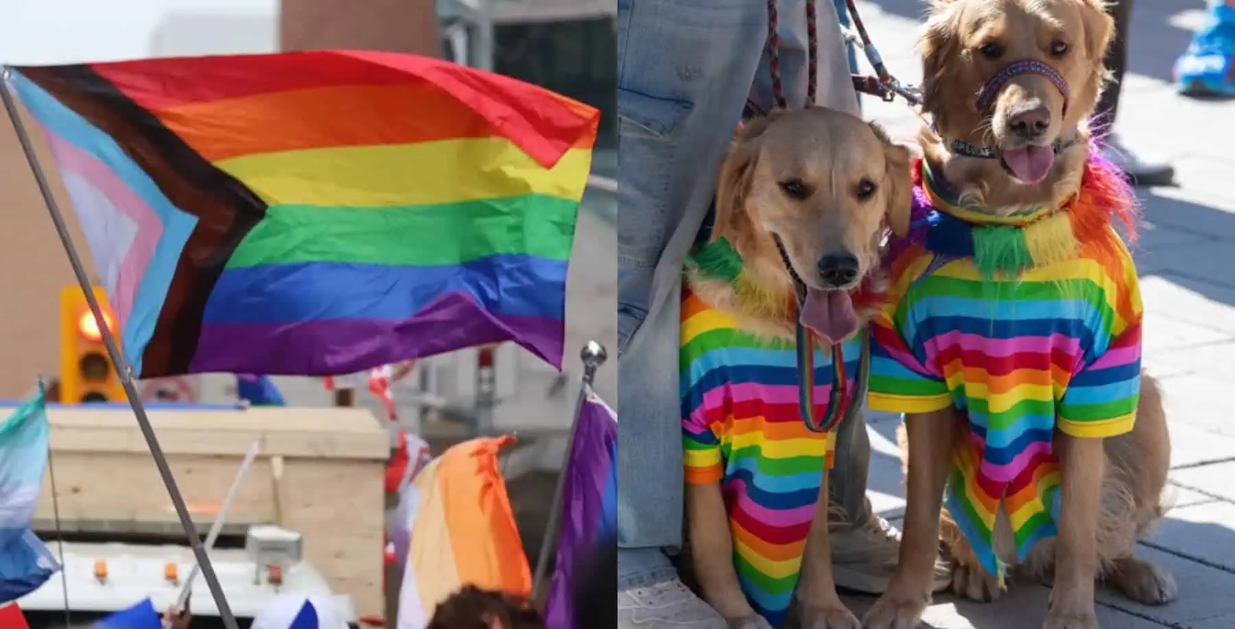 Toronto Pride LIVE: Real-time updates from Pride weekend across Toronto
