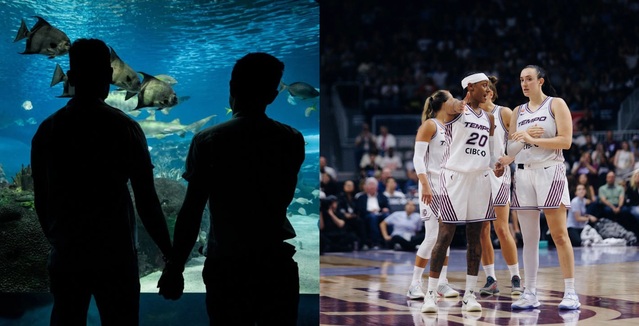 A couple holding hands and observing marine life in an aquarium on the left, and a women's basketball team huddling during a game on the right, showcasing entertainment and sports events in Toronto.