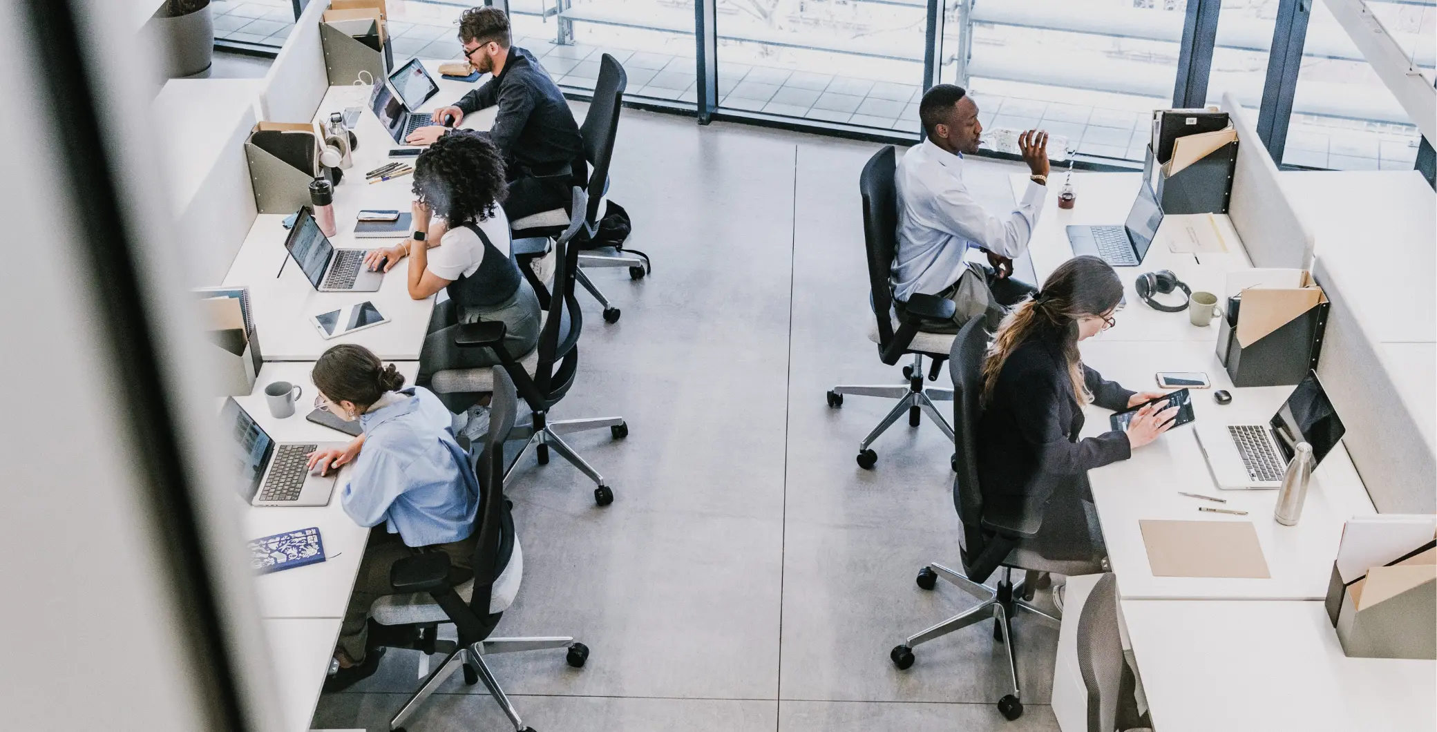 Diverse group of professionals working at desks in a modern office with large windows and natural light.