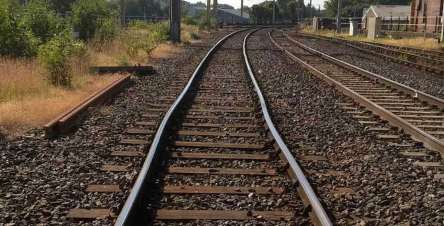 Multiple railway tracks converging in a railway yard with greenery and buildings in the background.