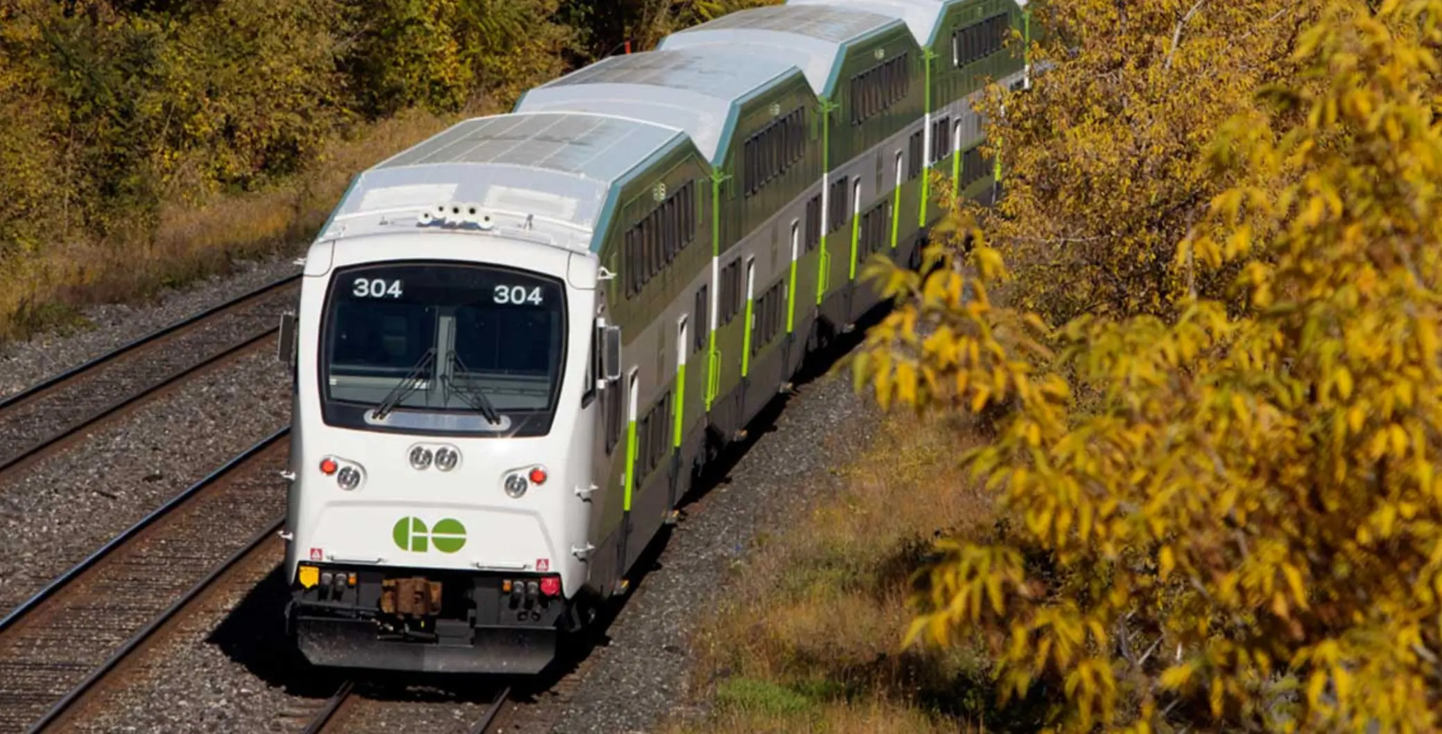 Modern GO Transit train traveling through autumn foliage on railway tracks in Ontario, Canada.