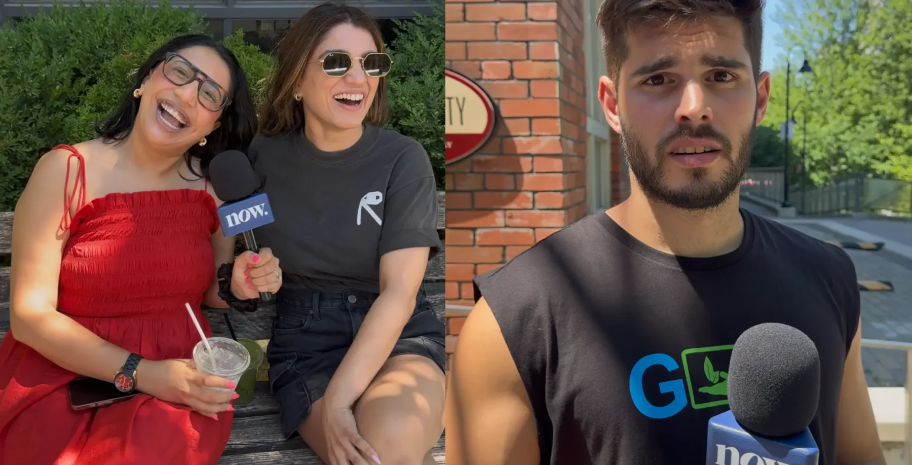 Two women and a man being interviewed outdoors on a sunny day in Toronto, with lush green trees in the background, capturing a lively summer scene.