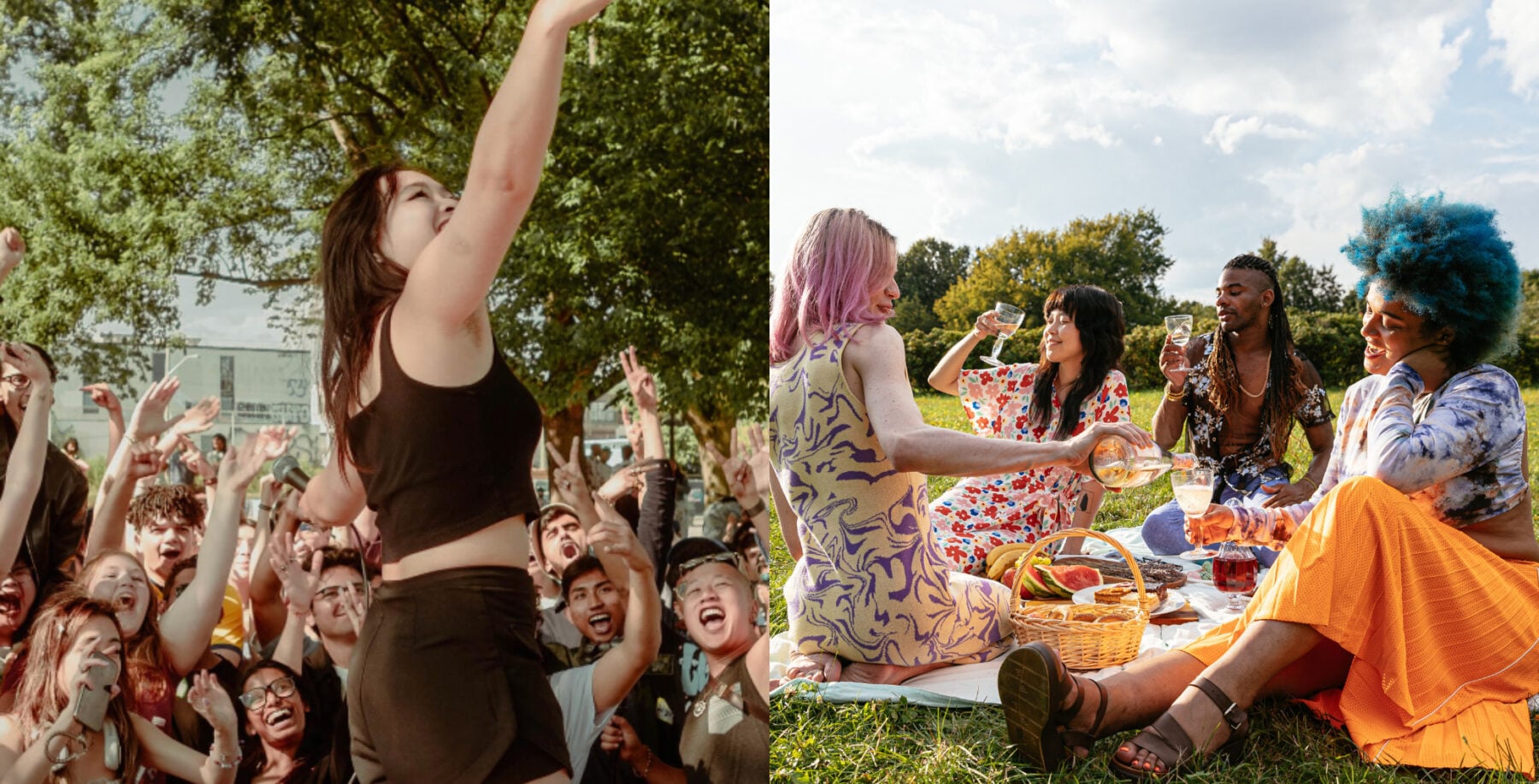 Toronto picnic