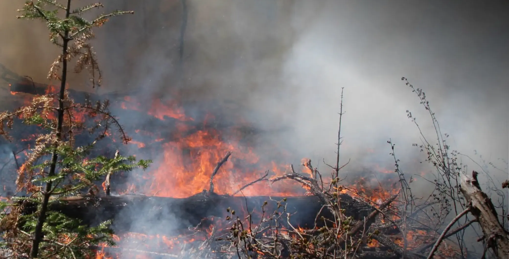 U.S. Wildfires