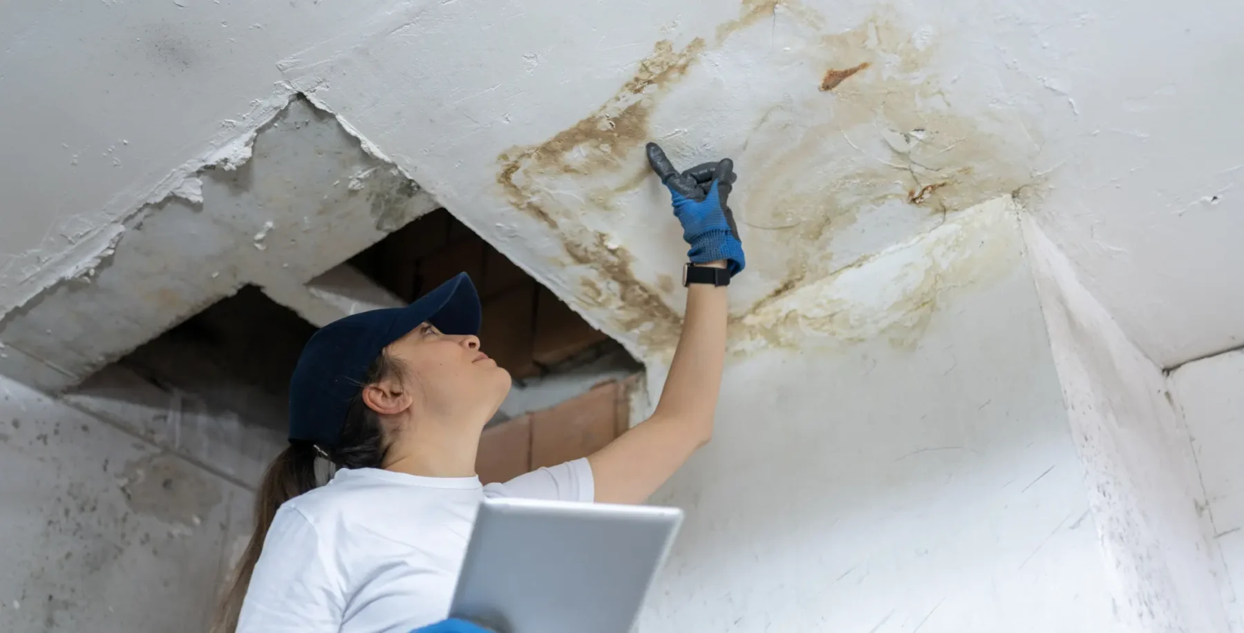 Water damage homes