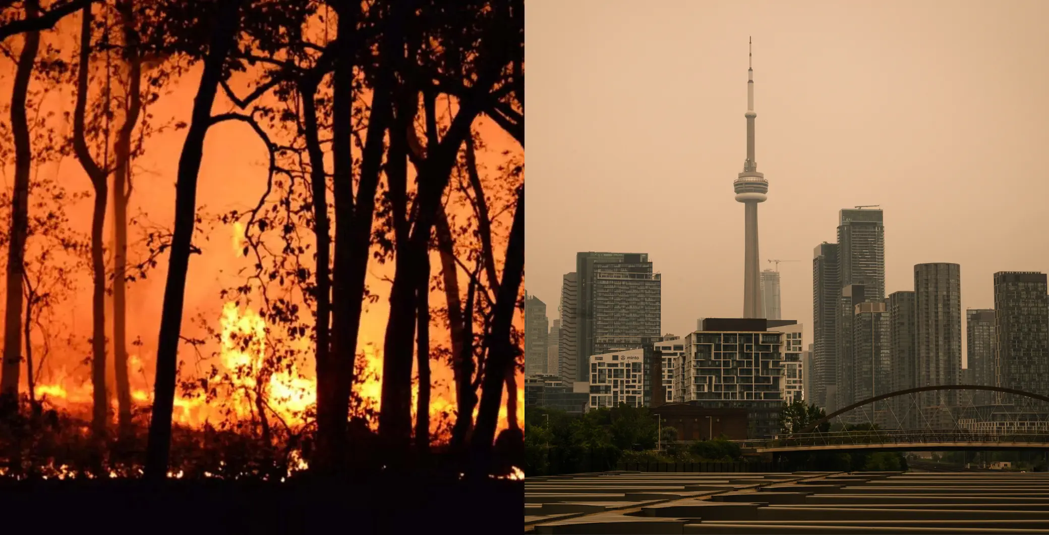 Comparison of wildfire smoke and urban pollution in Toronto, showing smoky sky and city skyline with CN Tower.