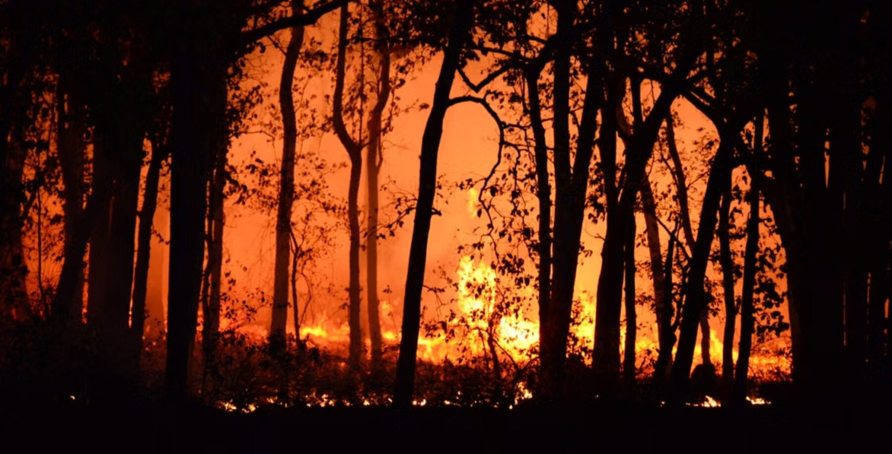 Wildfires across Ontario (Deep RajwarPexels)