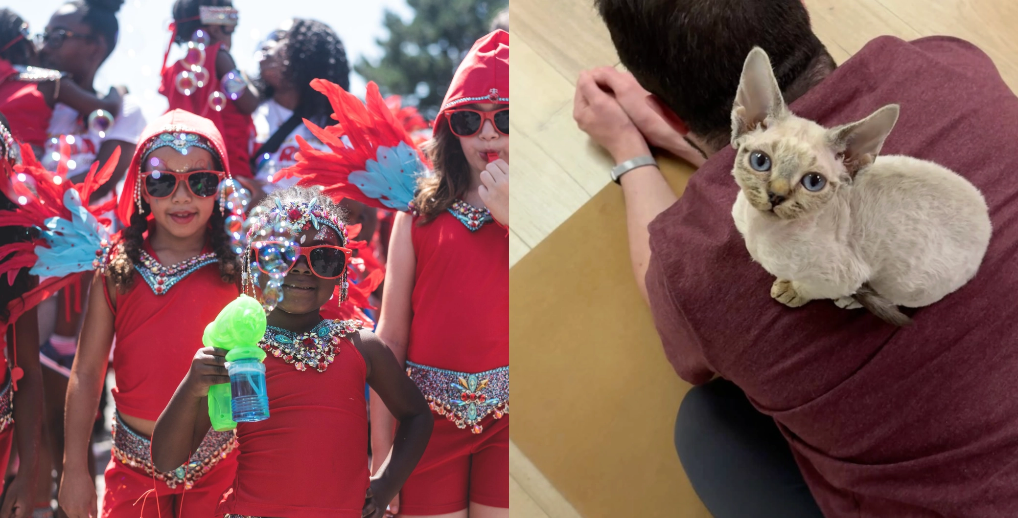 Children in colorful costumes and sunglasses at a parade, and a kitten sitting on a person's lap, both images captured in Toronto.